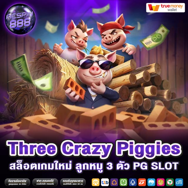 Three Crazy Piggies